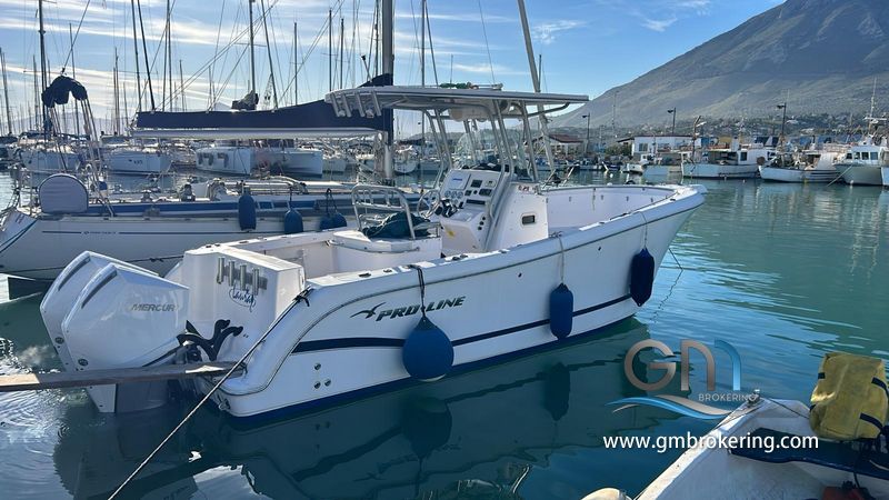 Proline 29 Grand Sport