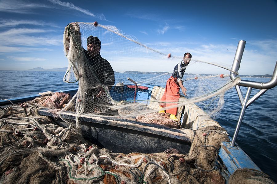 Sanzioni amministrative e penali per la pesca dalla barca