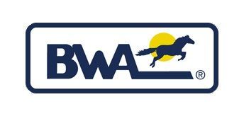 Cantiere BWA